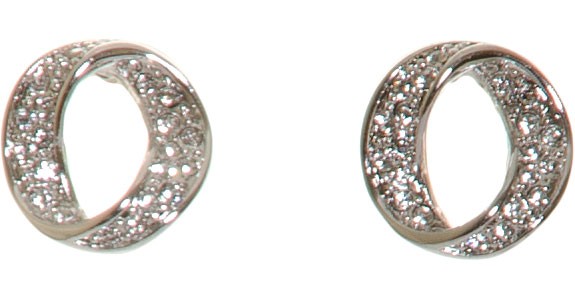 Elegant Ear Studs