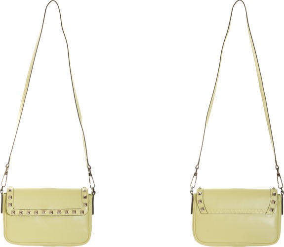 Luxurious Leather Bag